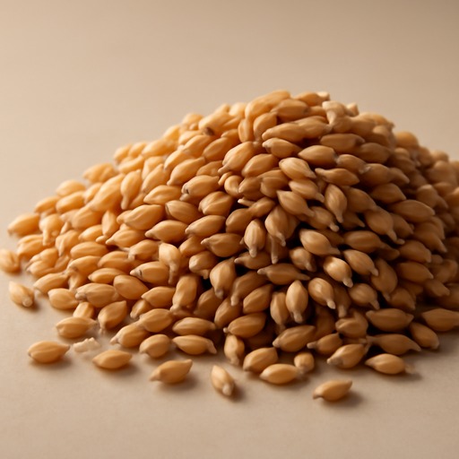 Nagdas Sharbati Wheat