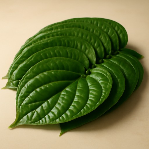 Pondicherry Vetrilai