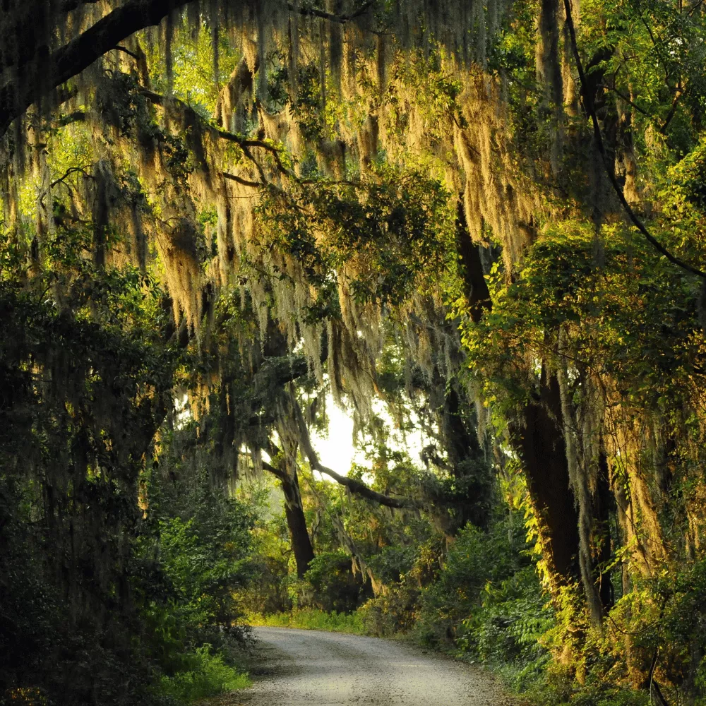 Achanakmar Wildlife Sanctuary
