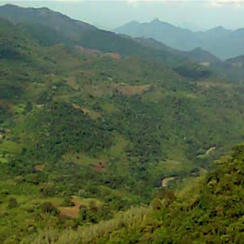 Araku Valley
