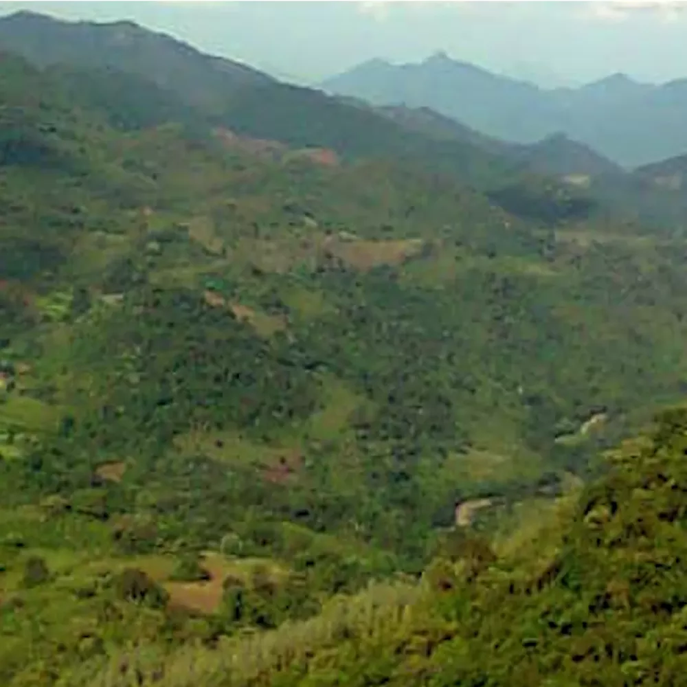 Araku Valley