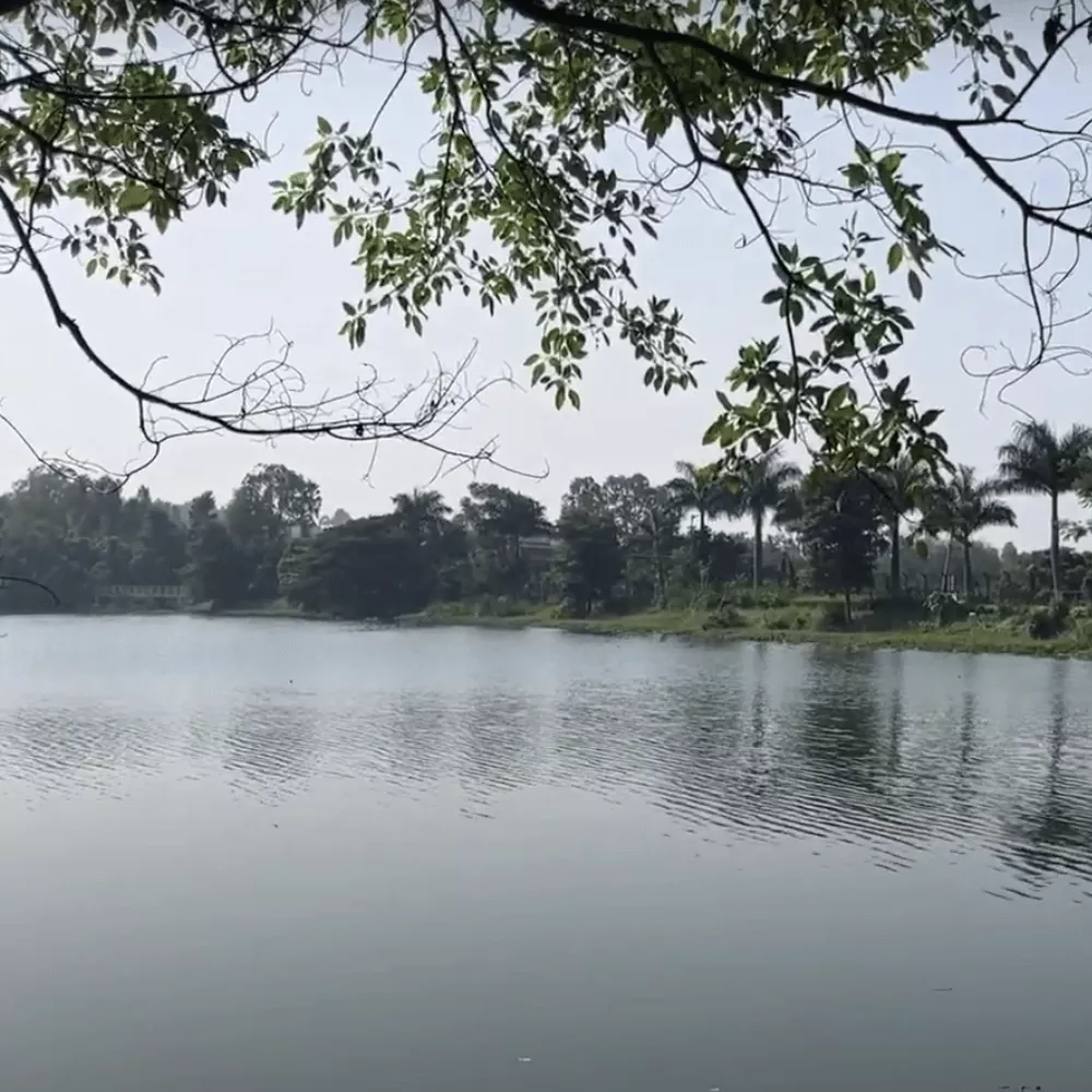 Aralikatte Lake