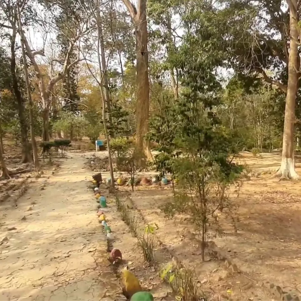 Arboretum Botanical Garden