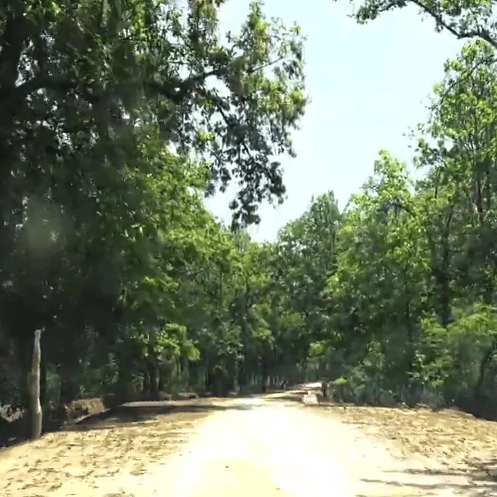 Badalkhol Wildlife Sanctuary