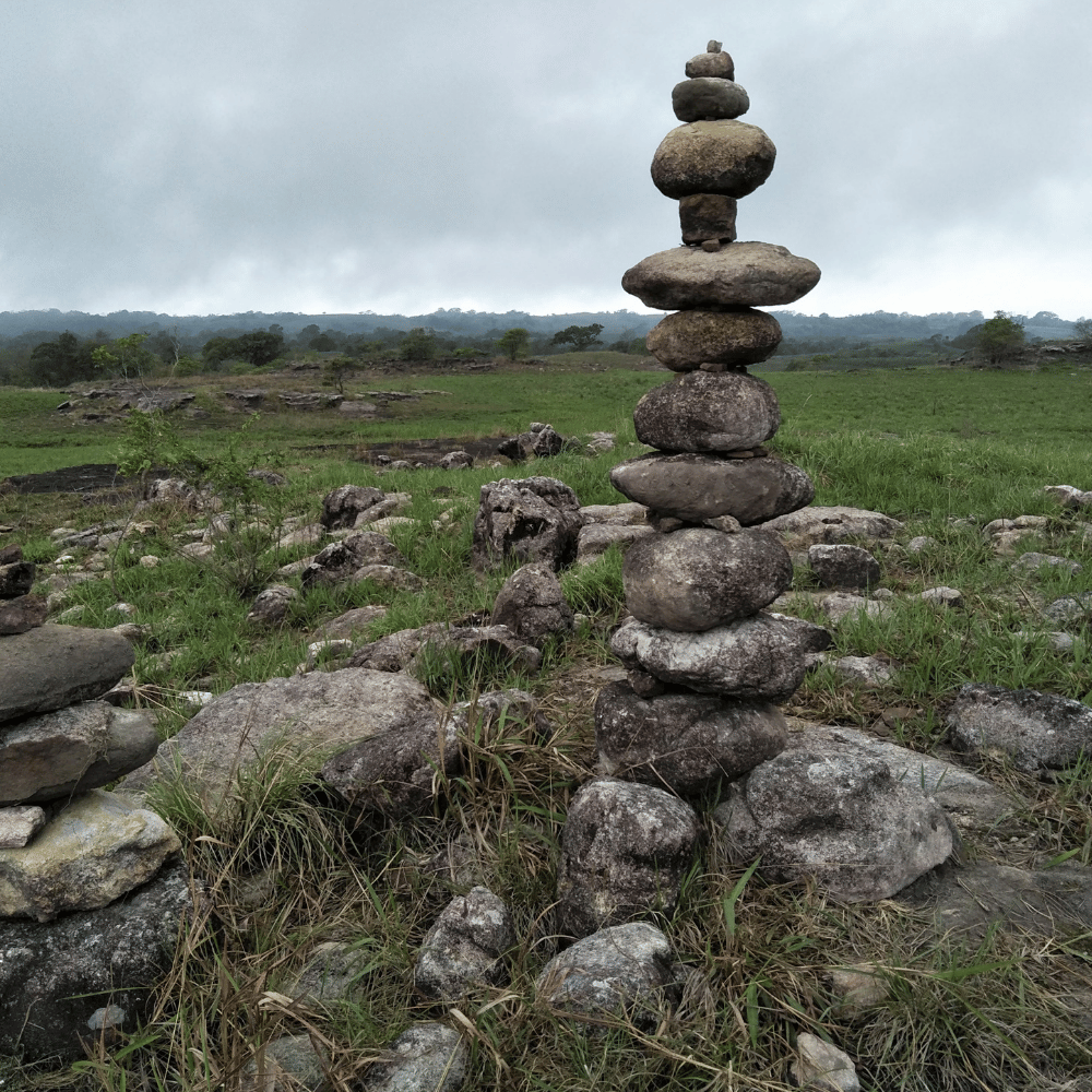 Balpakram National Park