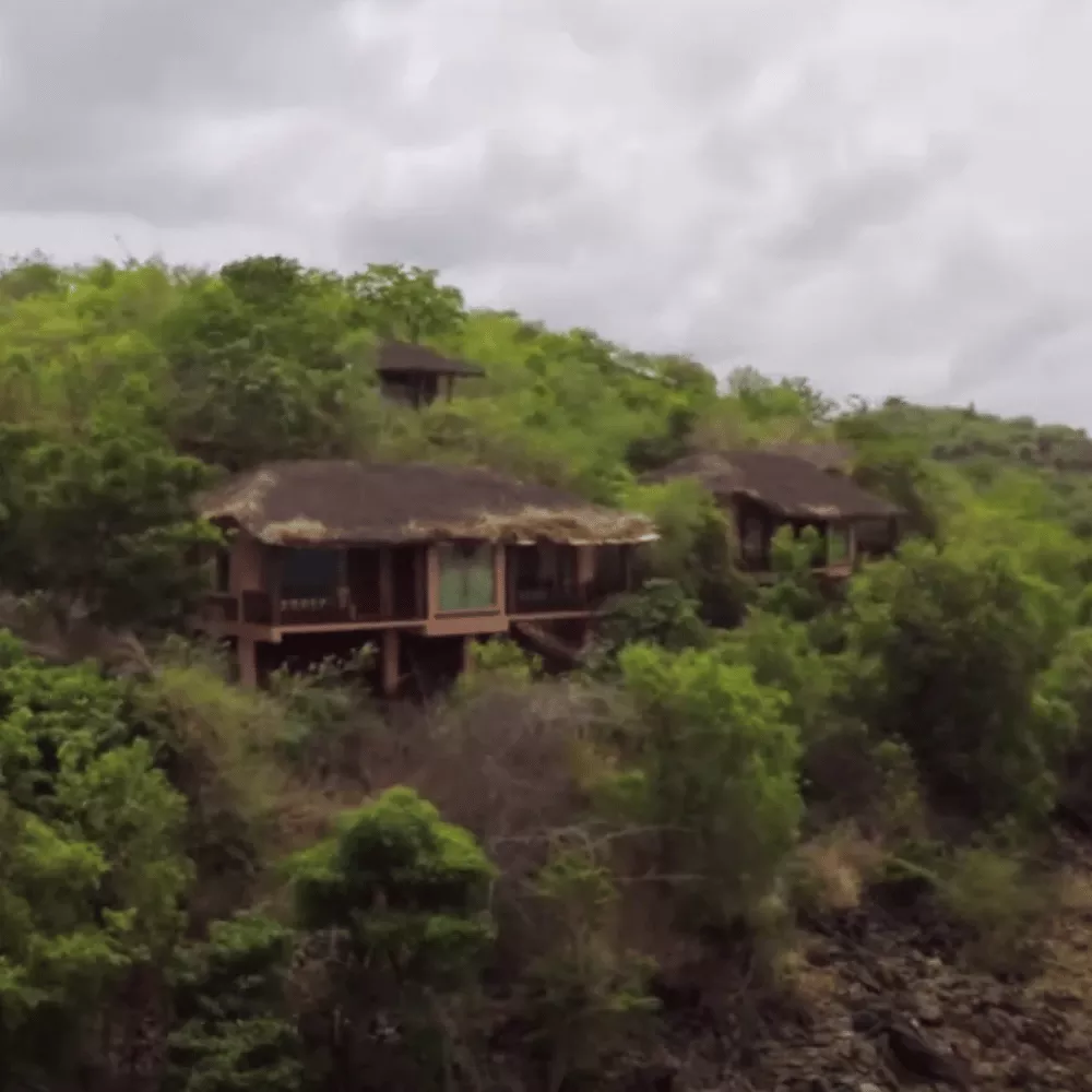 Bhadra Wildlife Sanctuary