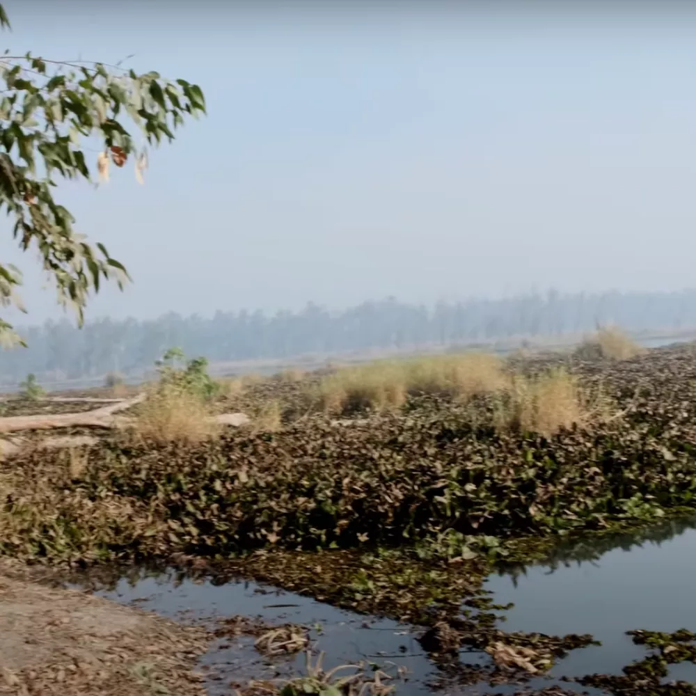 Bhindawas Wildlife Sanctuary