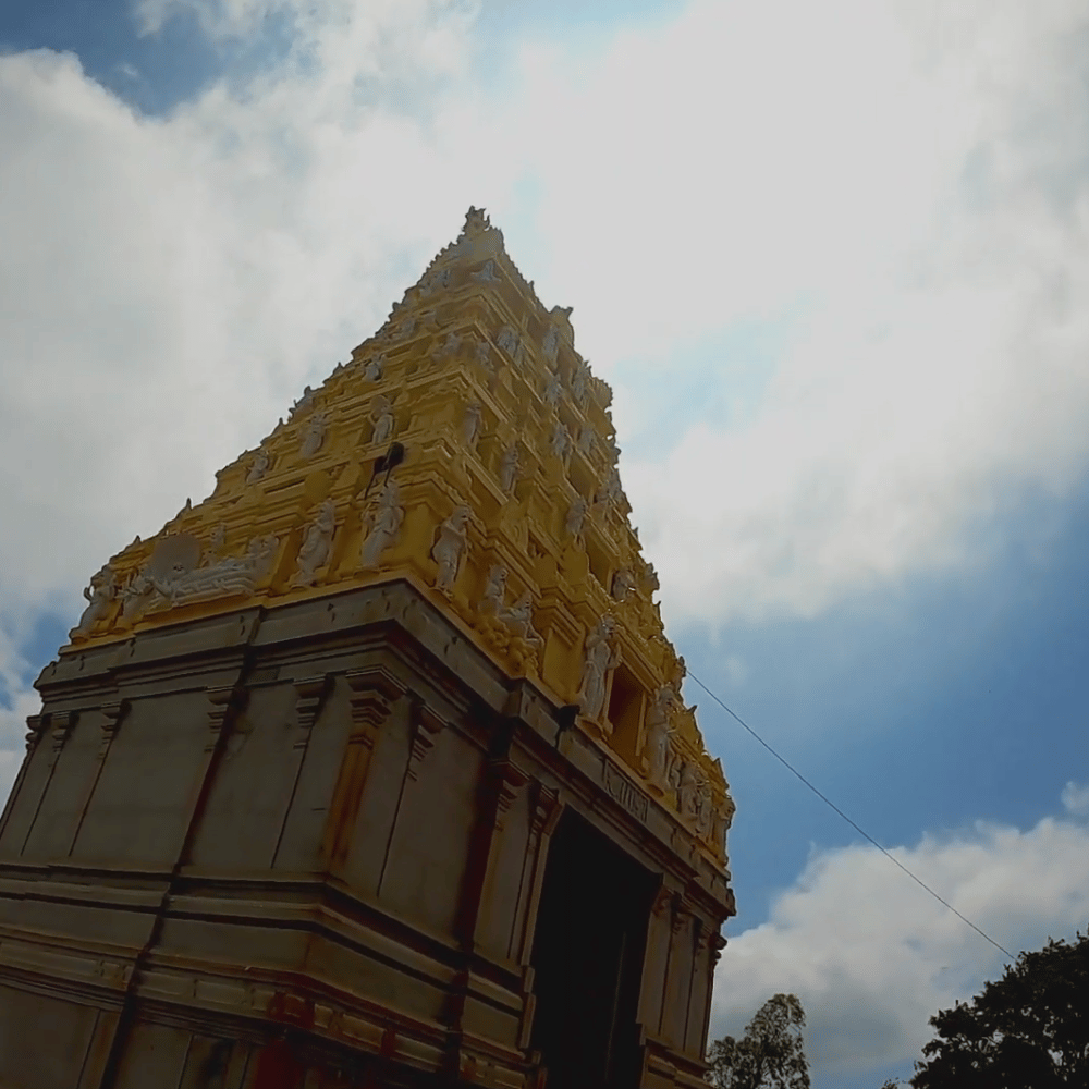 Biligiri Rangaswamy Temple