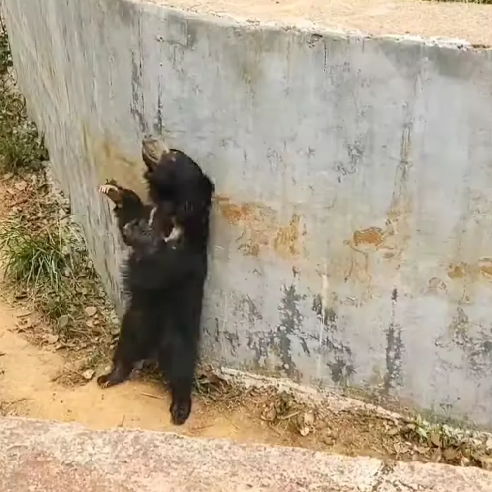 Birsa Zoological Park