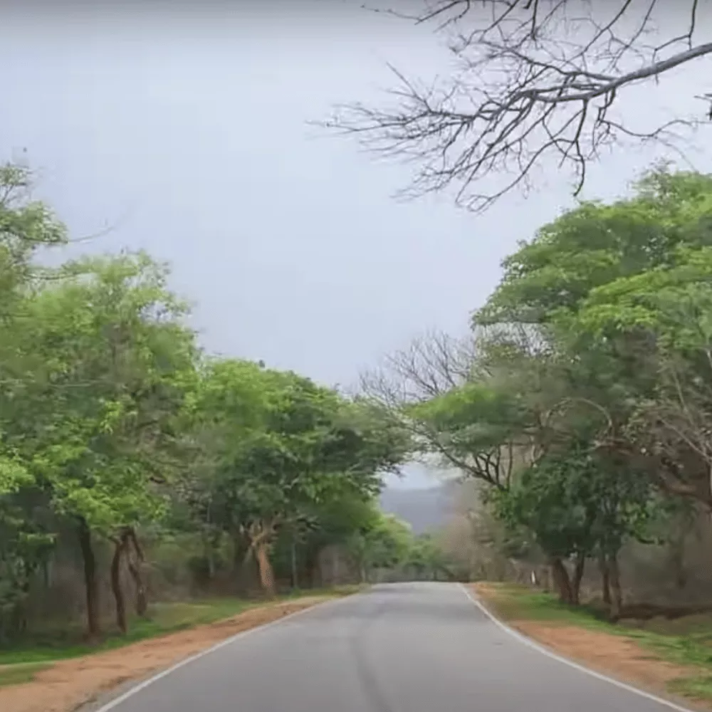 Cauvery Wildlife Sanctuary