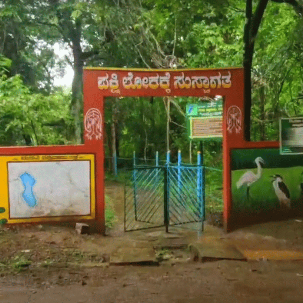 Gudavi Bird Sanctuary