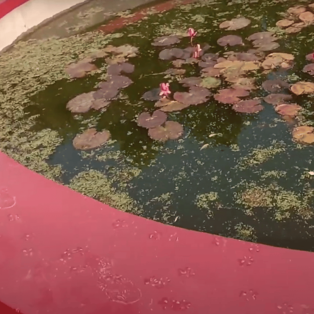 Indira Gandhi Memorial Park