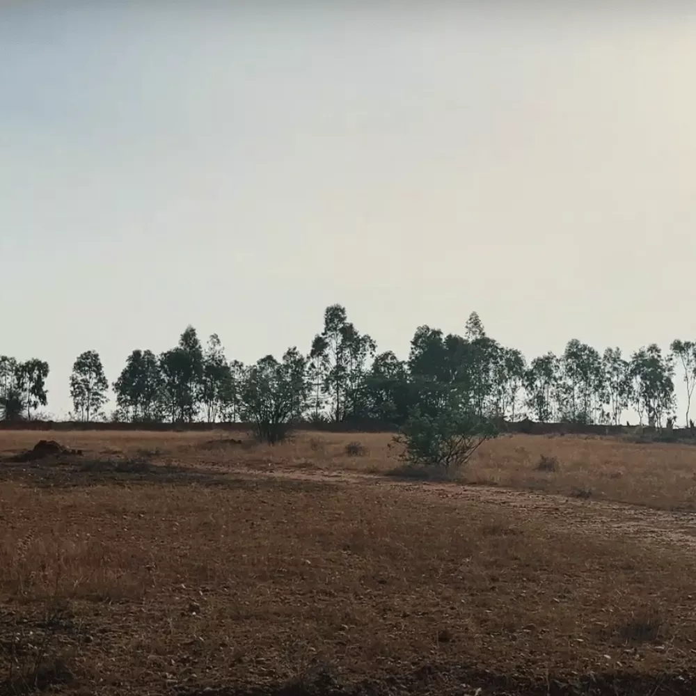 Jayamangali Blackbuck Reserve