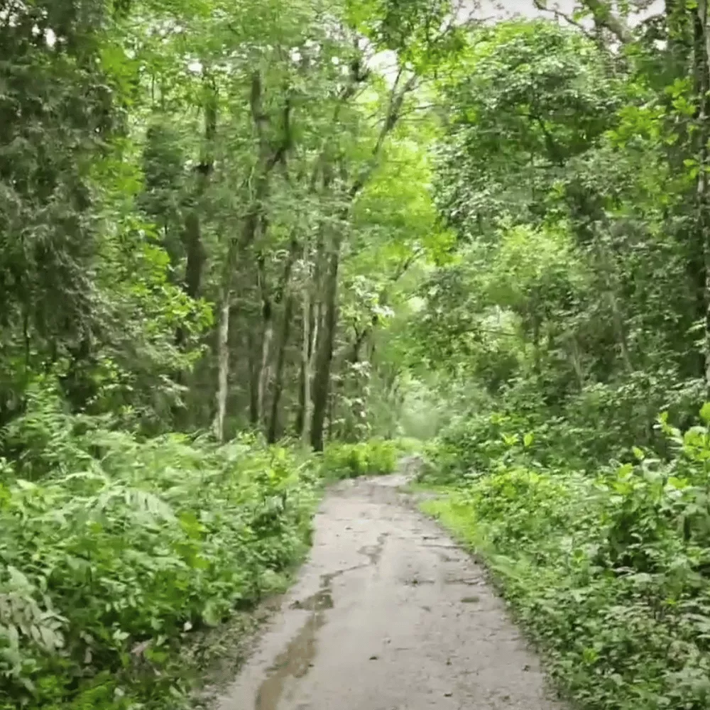 Jokai Botanical Garden