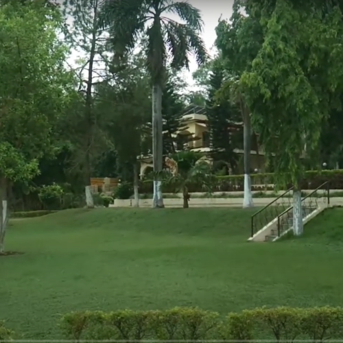 Kalesar National Park