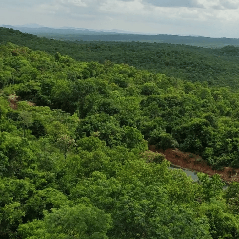 Kaundinya Wildlife Sanctuary
