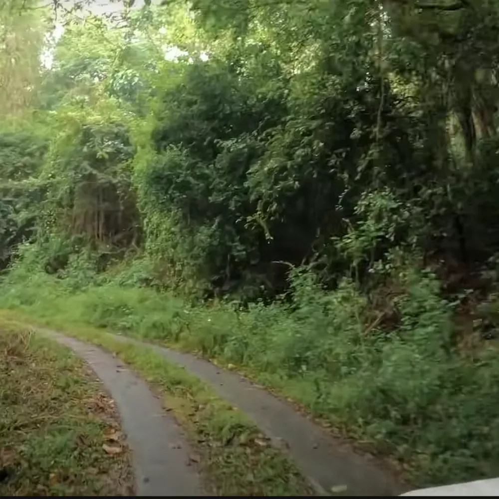 Kaviyoor Mahadeva Temple