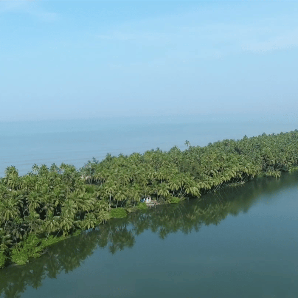 Kavvayi Backwaters