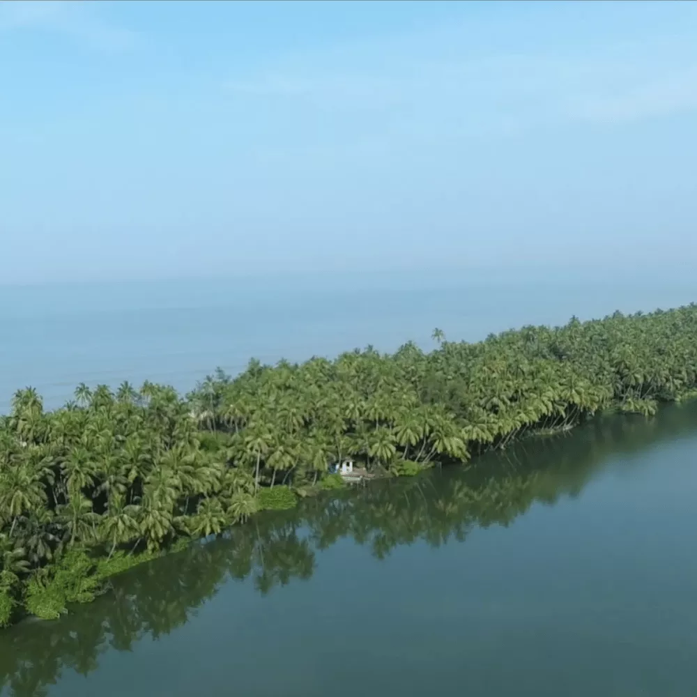 Kavvayi Backwaters