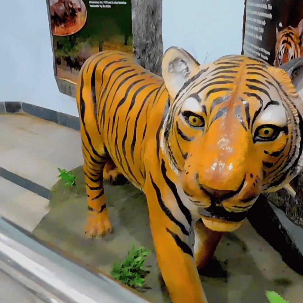 Kinnerasani Wildlife Sanctuary