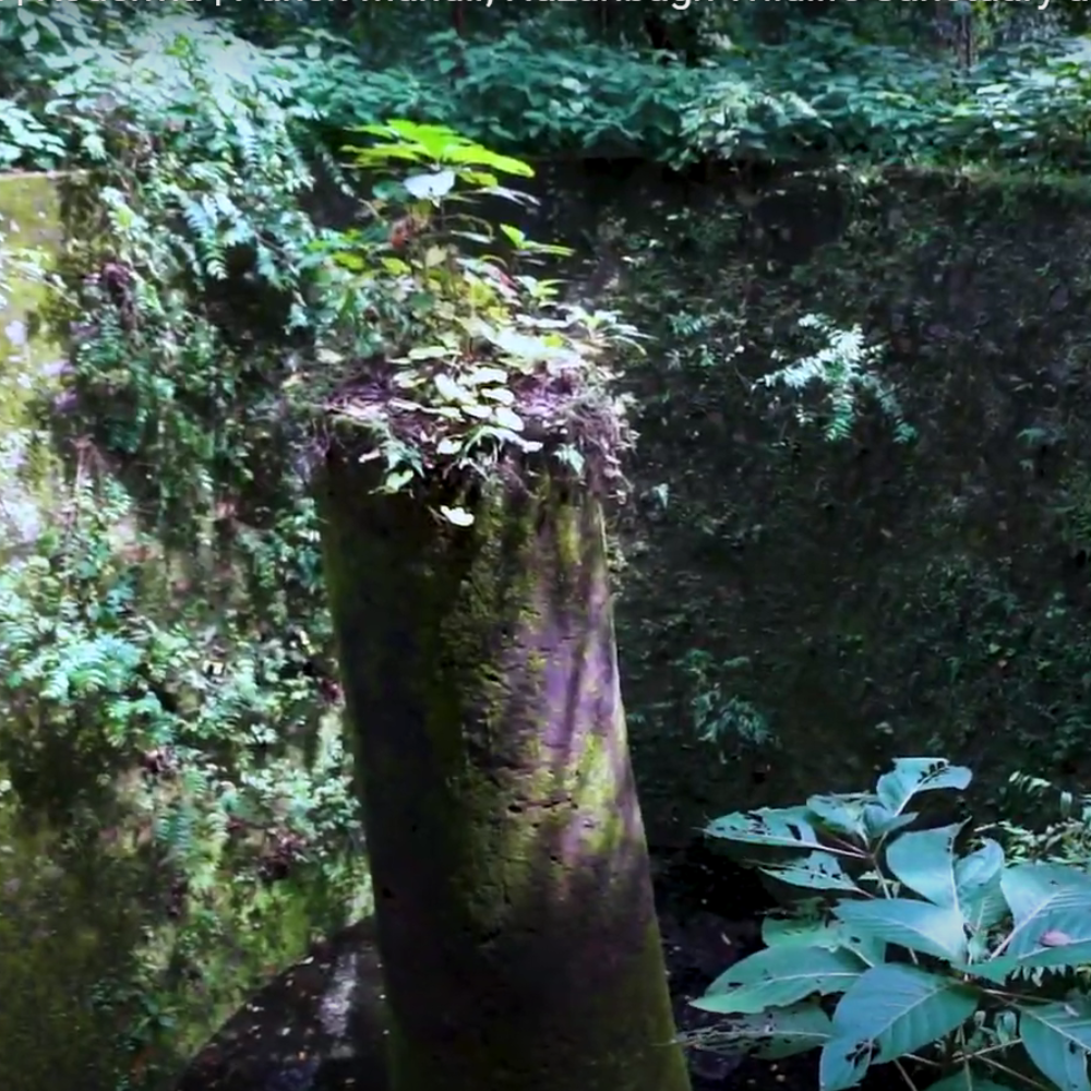 Koderma Wildlife Sanctuary