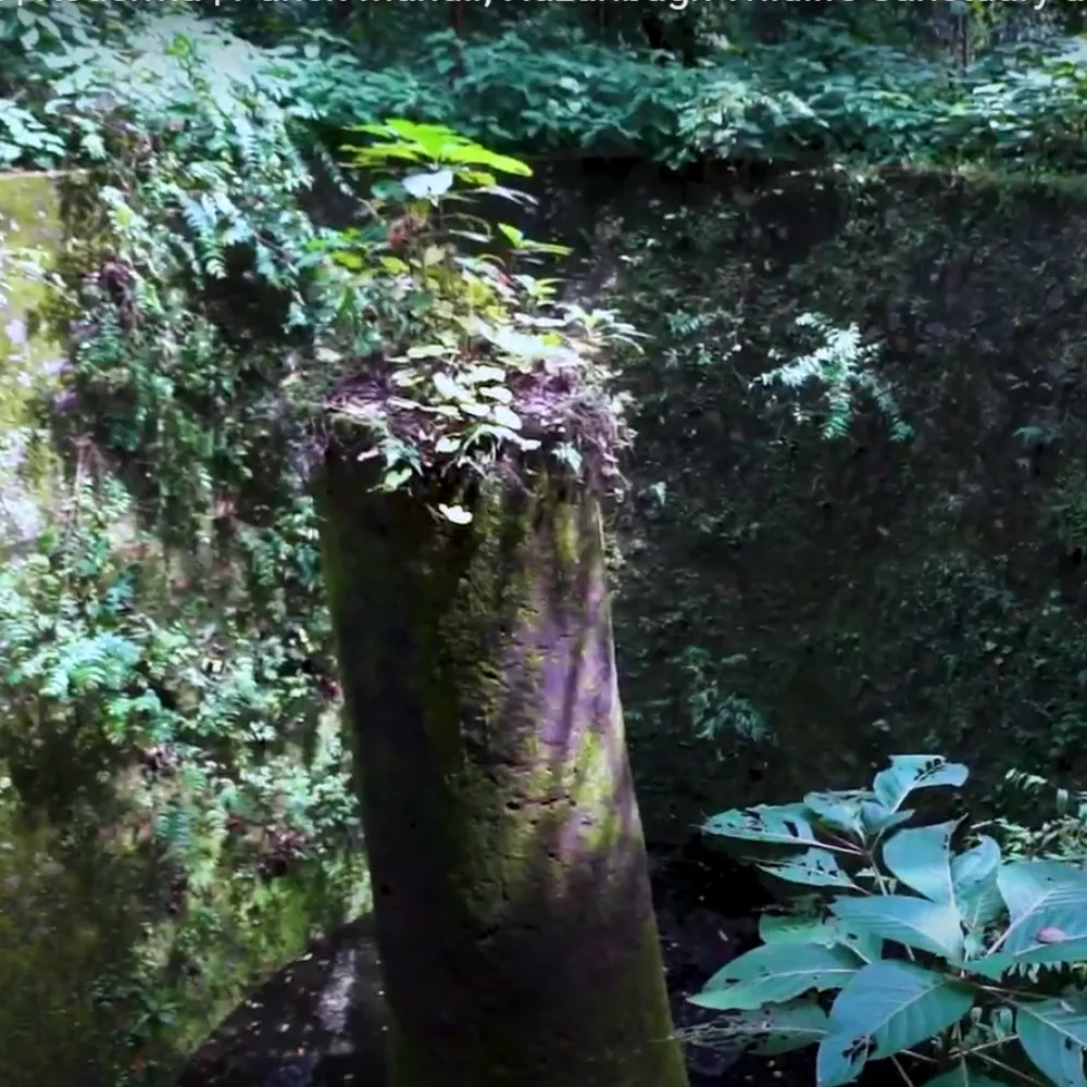 Koderma Wildlife Sanctuary