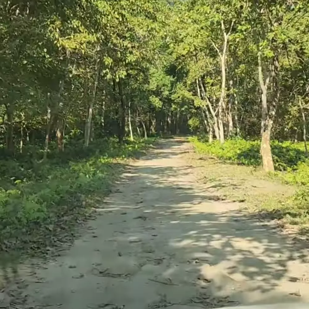 Laokhowa Wildlife Sanctuary