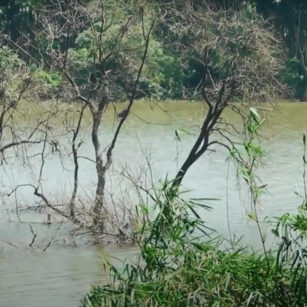 Mandagadde Bird Sanctuary