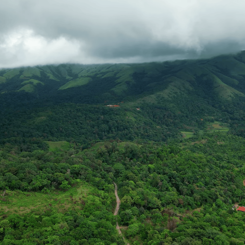 Mandalpatti Viewpoint