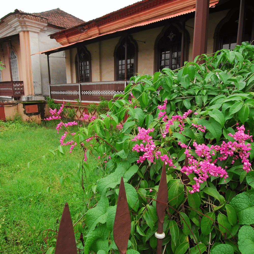 Margao Municipal Garden