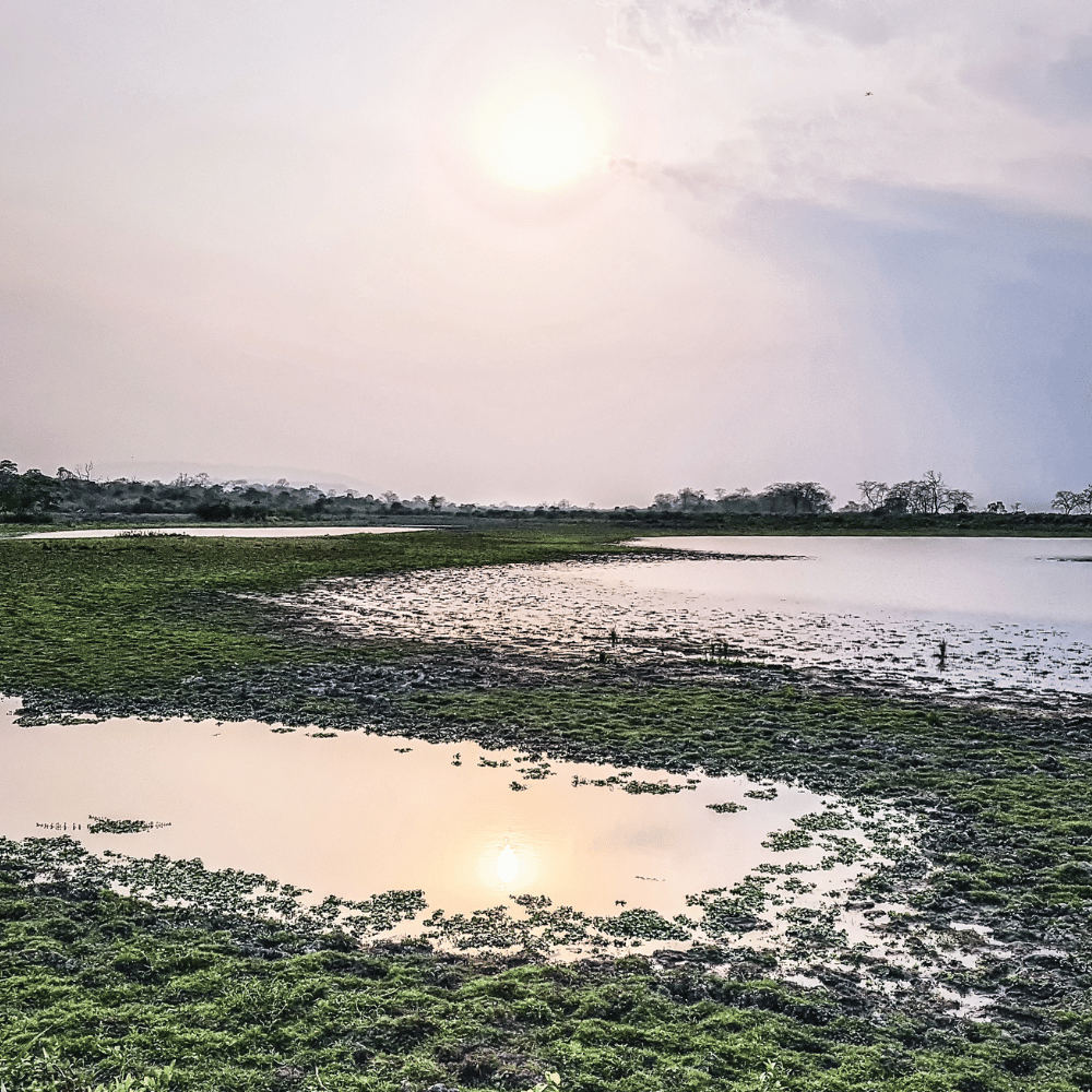 Nameri National Park