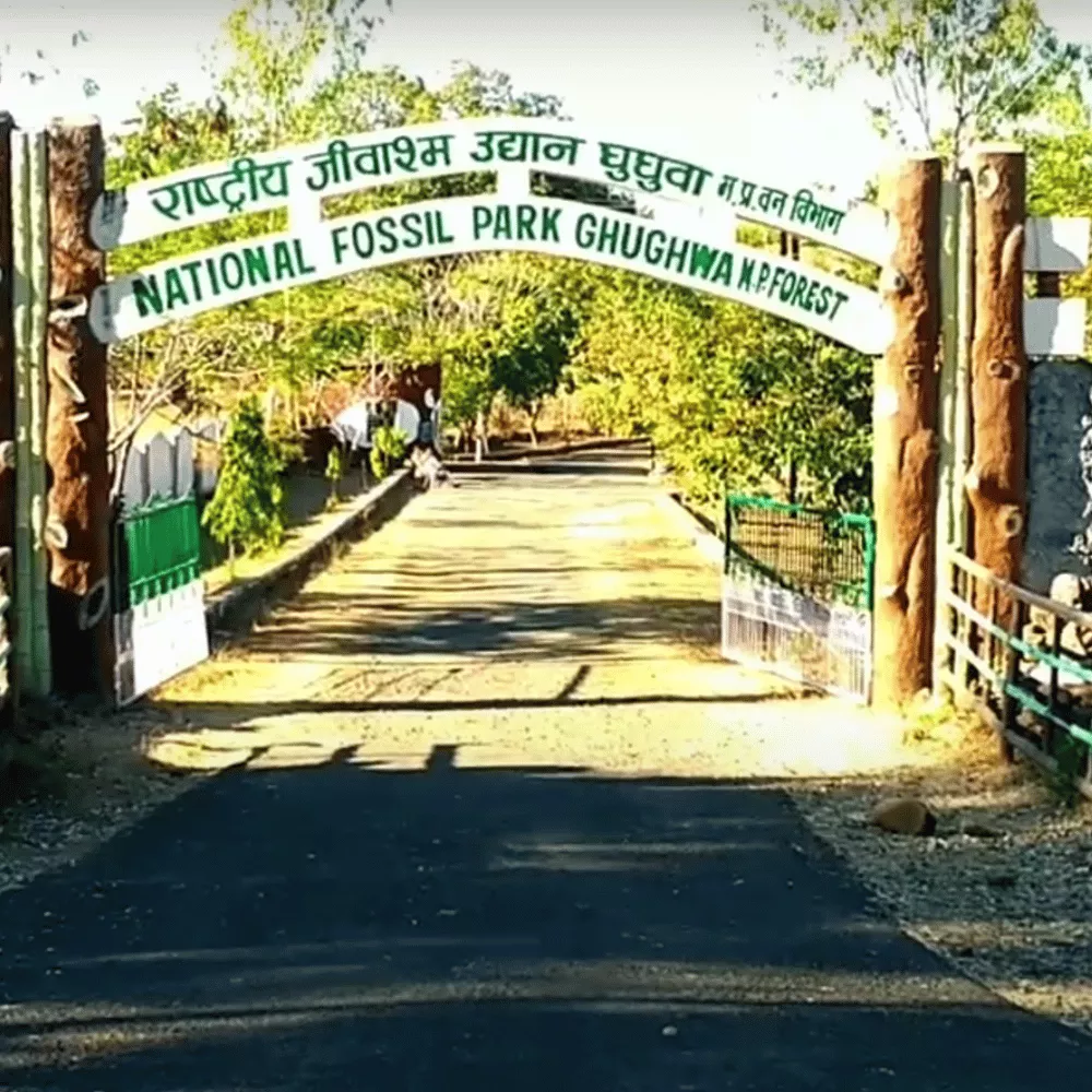 National Fossil Park