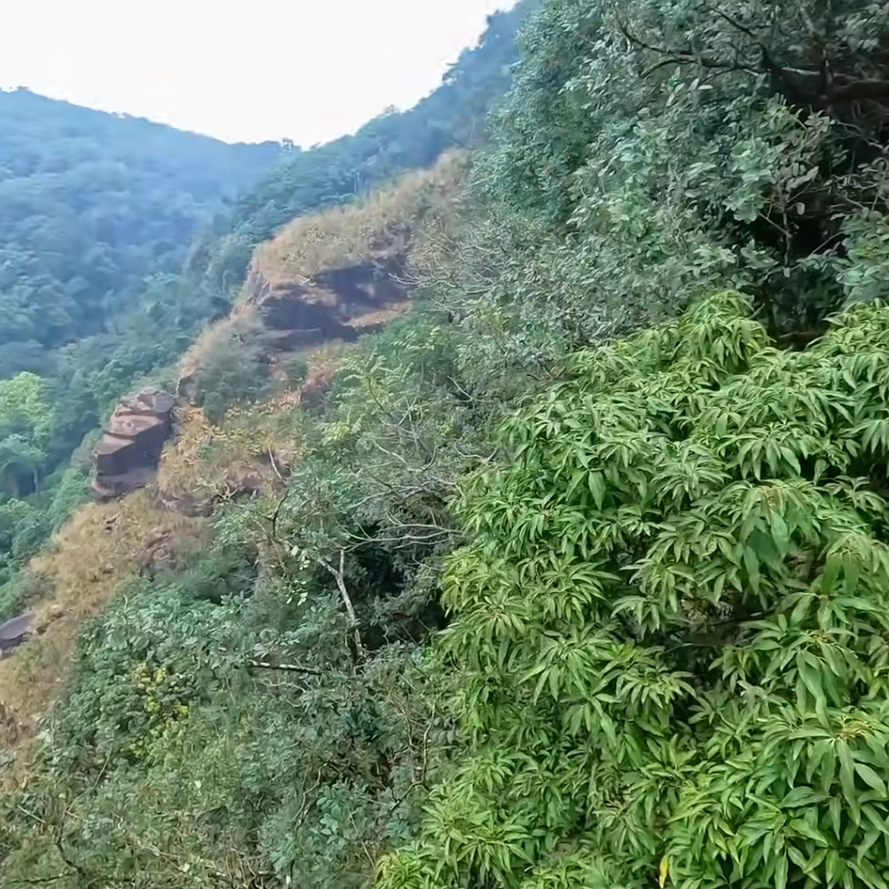 Nokrek National Park