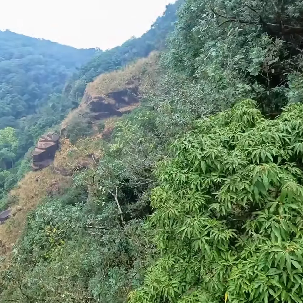 Nokrek National Park