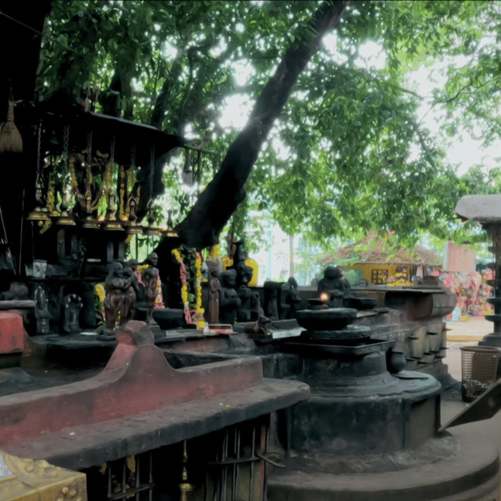 Oachira Parabrahma Temple