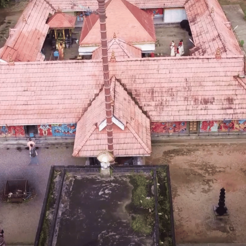 Parthasarathy Temple