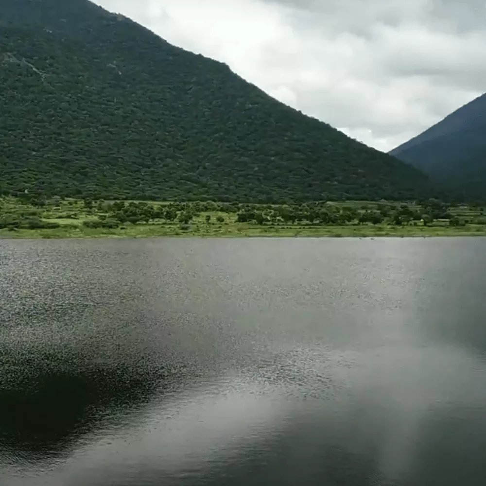 Perumpallam Lake