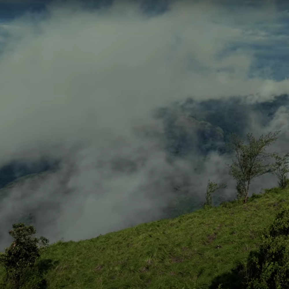 Ponmudi Hills