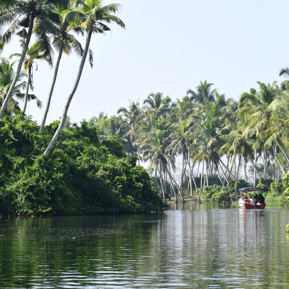 Poovar Island