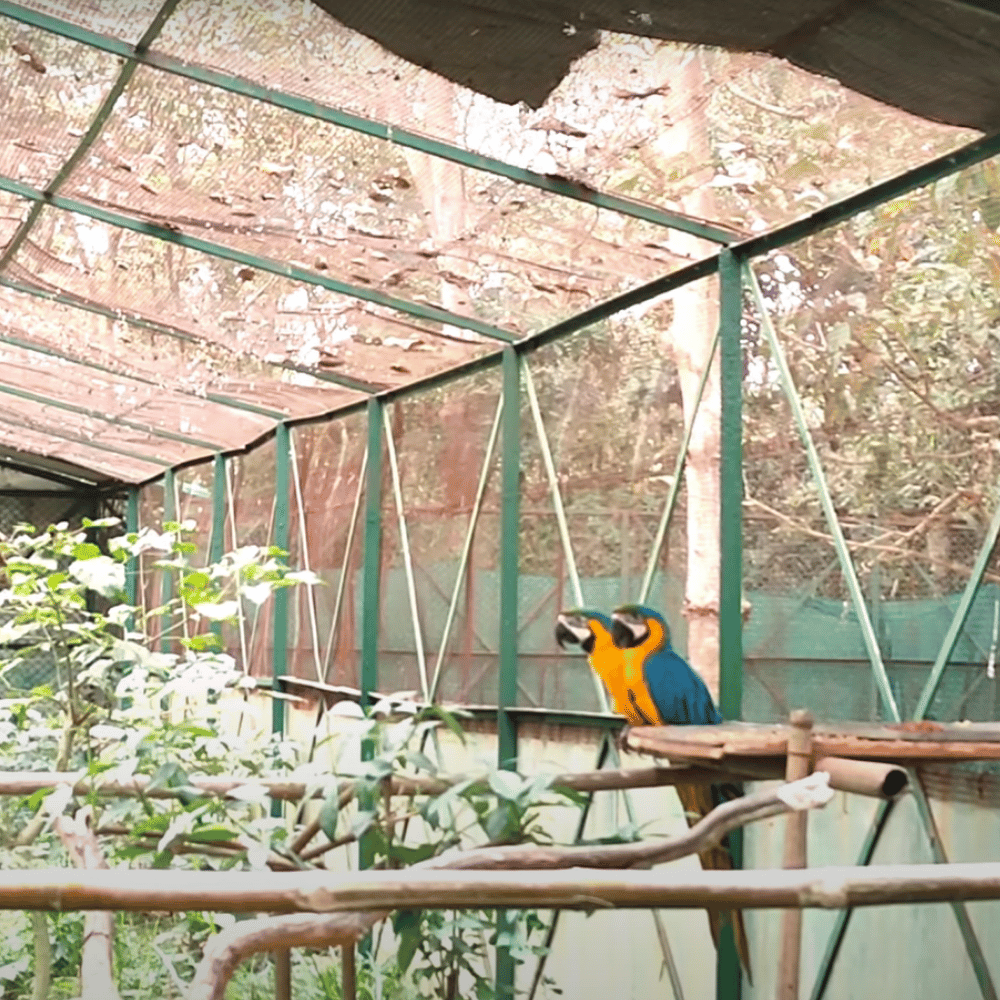 Raiganj Wildlife Sanctuary