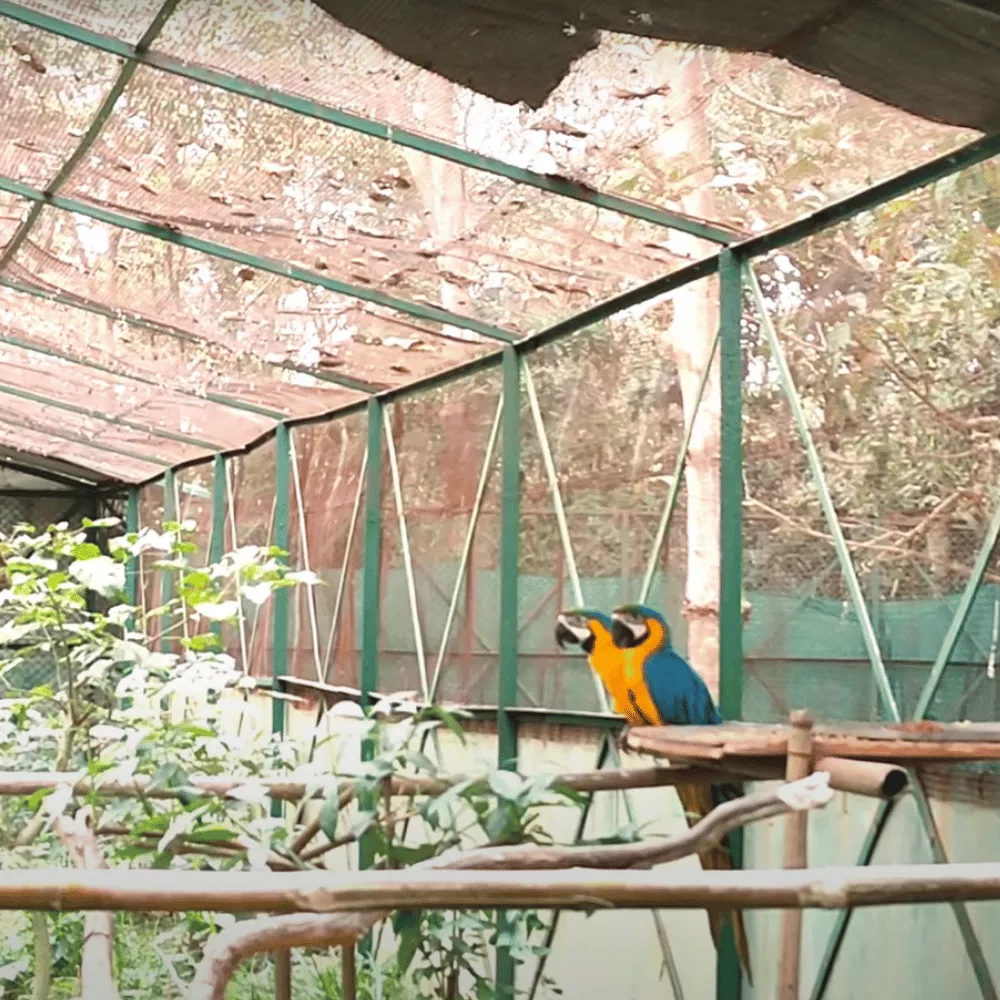 Raiganj Wildlife Sanctuary