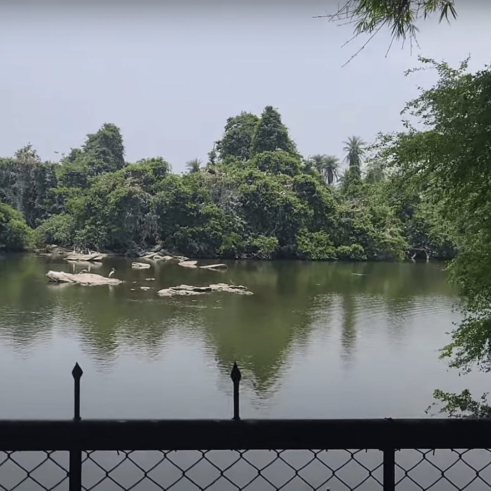 Ranganathittu Bird Sanctuary