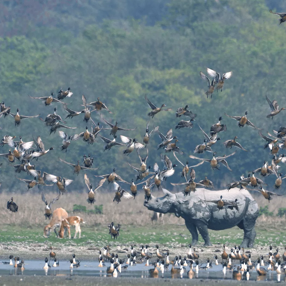 Renuka Wildlife Sanctuary