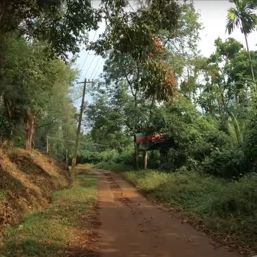 Silent Valley National Park