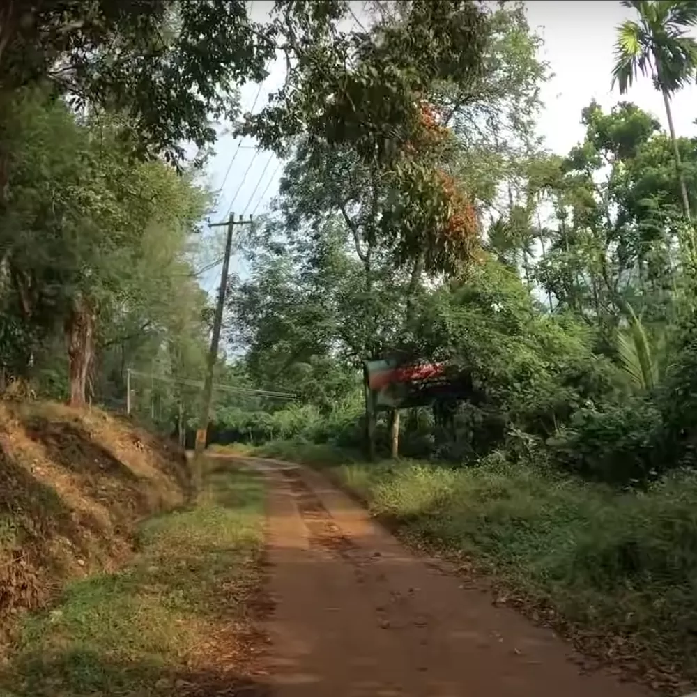 Silent Valley National Park