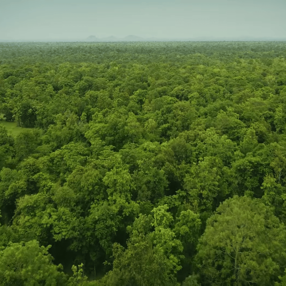 Sitanadi Wildlife Sanctuary