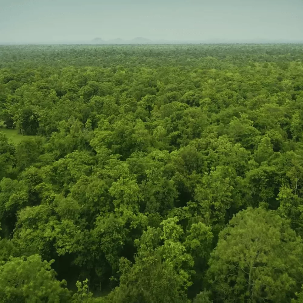 Sitanadi Wildlife Sanctuary