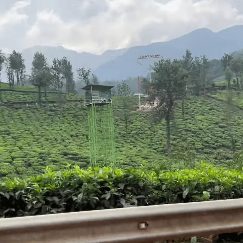 Soochipara Waterfalls