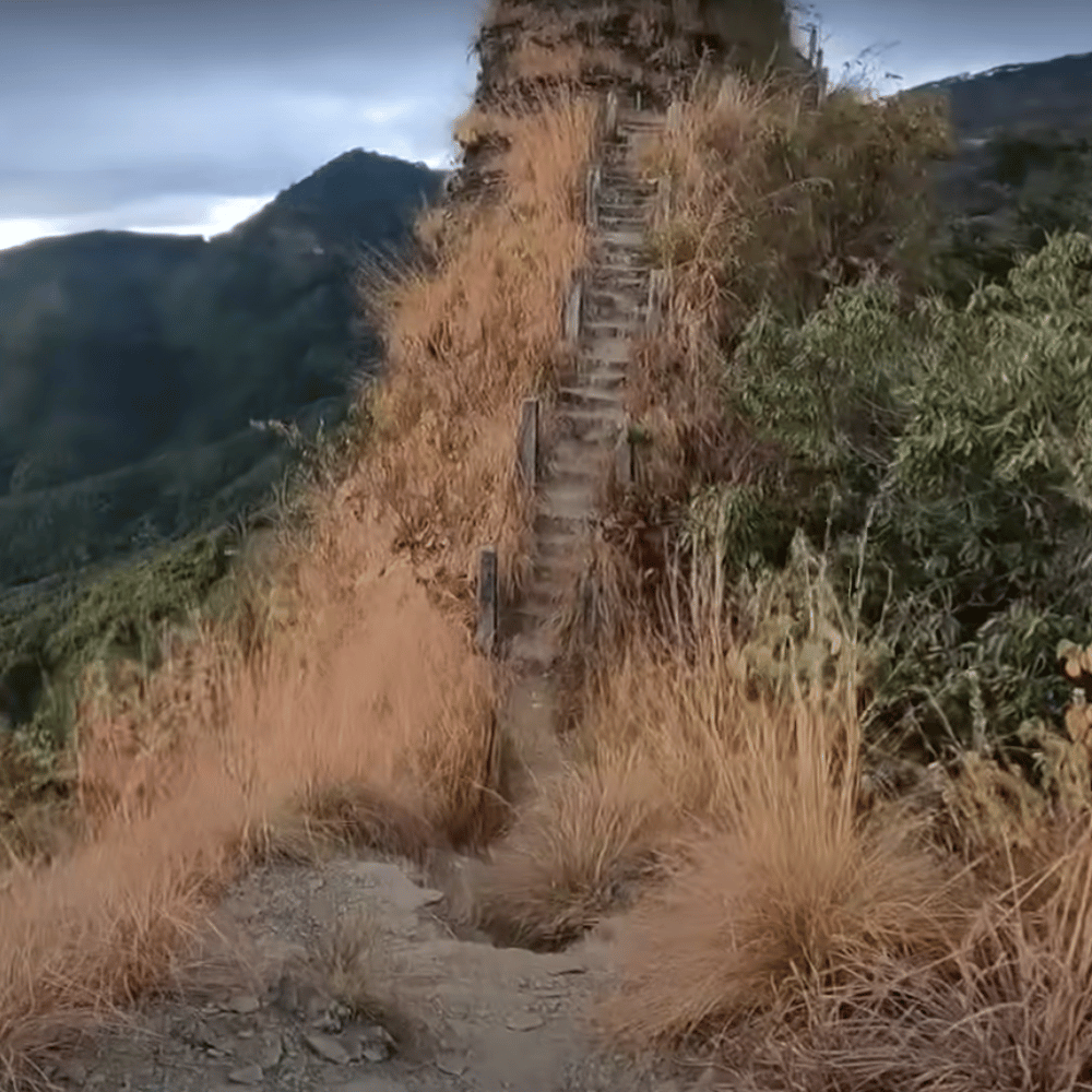 Thasiama Seno Neihna