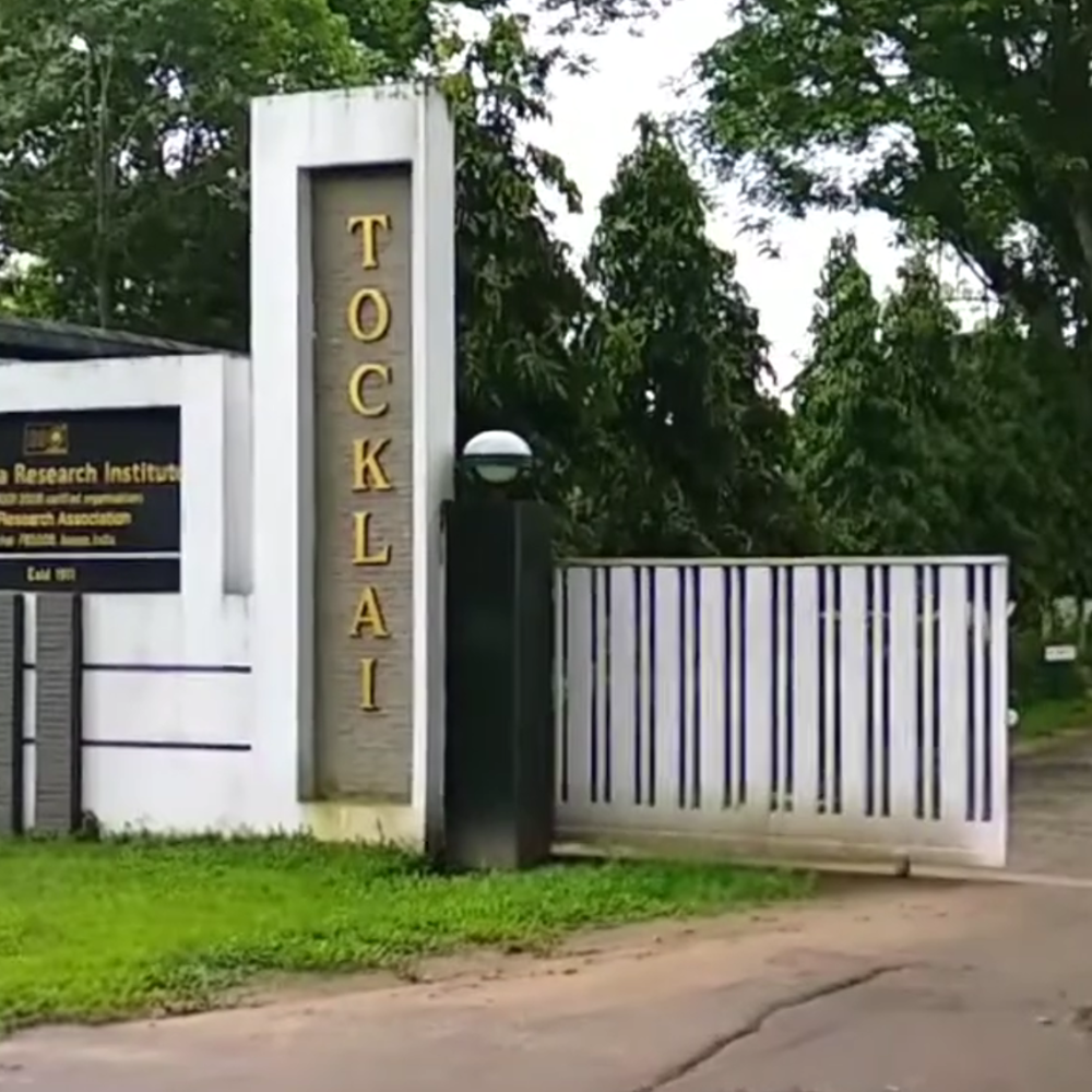 Tocklai Tea Research Institute